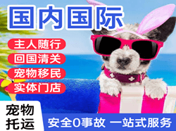 图木舒克唐王城空运地址国际宠物托运 【国
